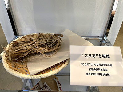 こうぞと和紙