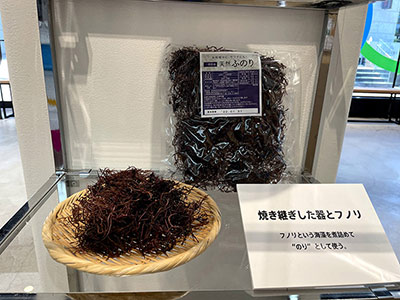 焼き継ぎした器とフノリ