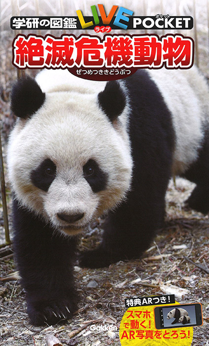 地球温暖化によって絶滅危機にある動物たち