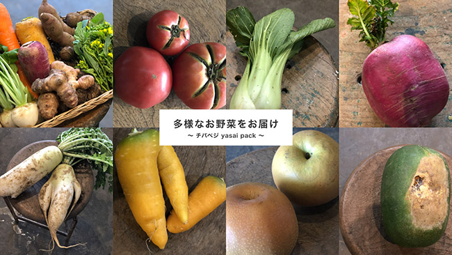 多様な野菜をお届け