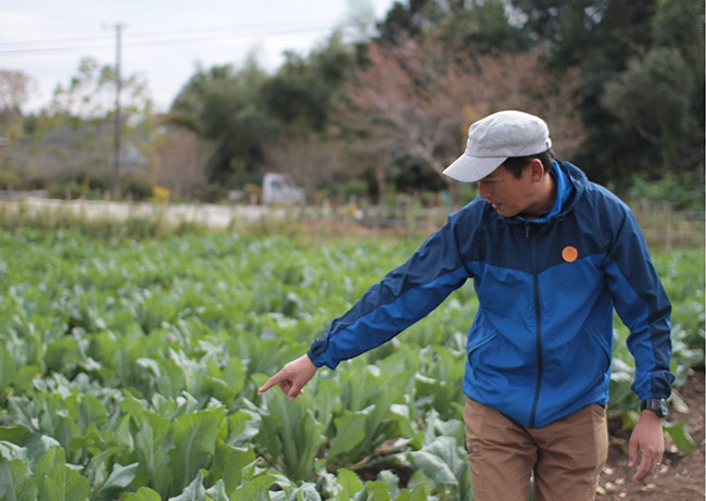野菜畑と野菜を指差す人物
