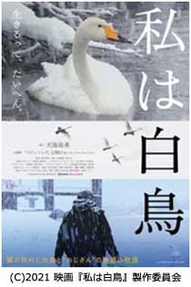 ドキュメンタリー映画「私は白鳥」