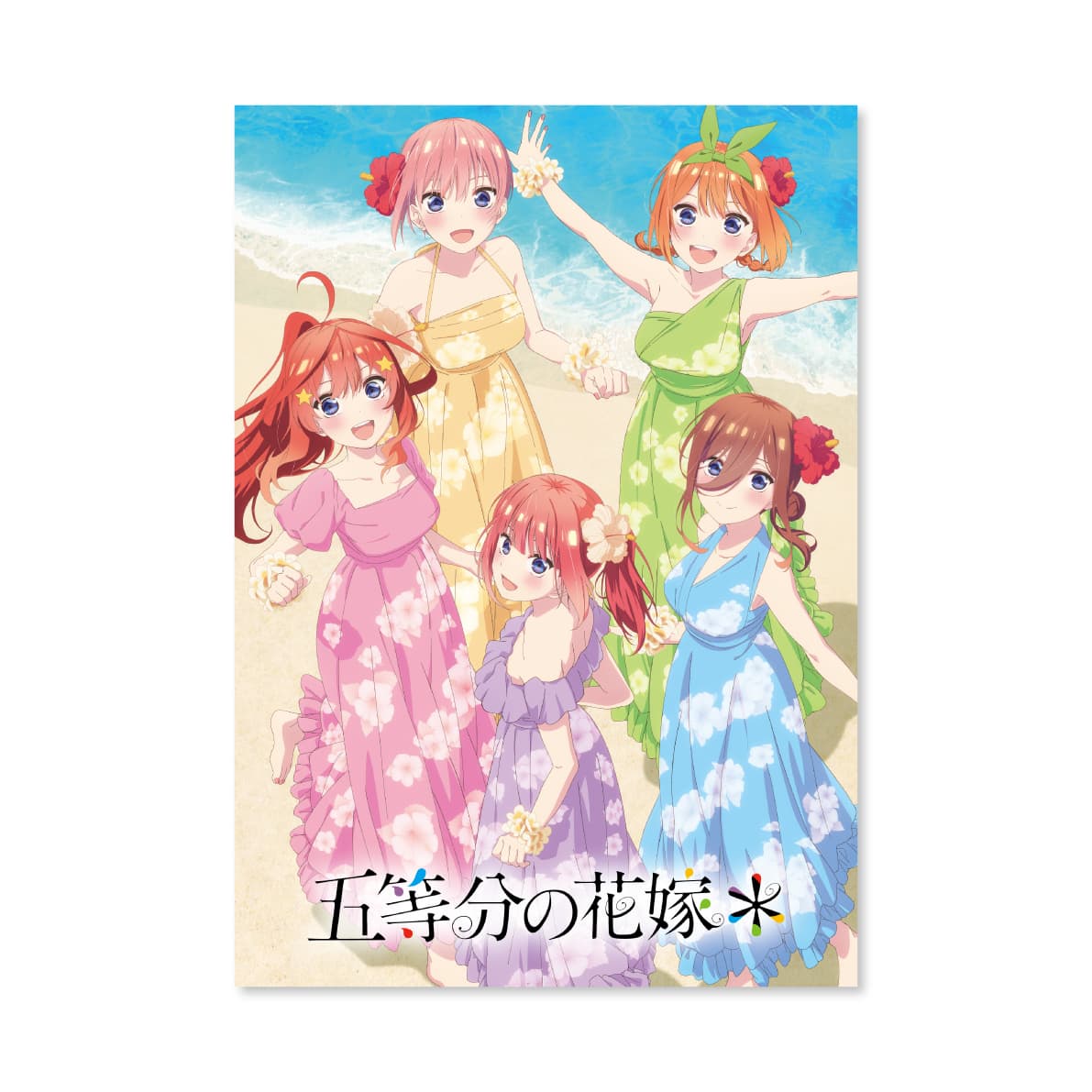 パンフレット 通常版