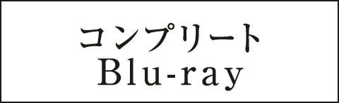 パッケージ内容