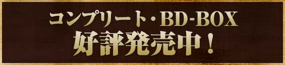 $B%3%s%W%j!<%H!&(BBD-BOX $B9%I>H/GdCf!*(B
