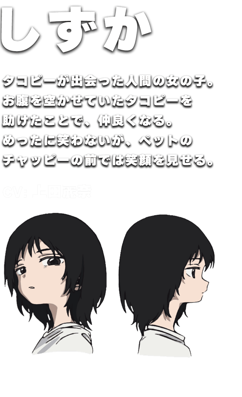 しずか説明