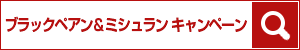 「ブラックペアン＆ミシュラン キャンペーン」で検索