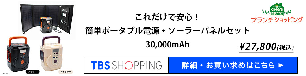 ブランチショッピング