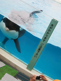 $B%7%c%A$N%7%g!<(B4