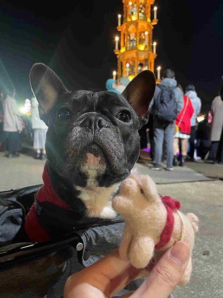 ブタのオーナメント