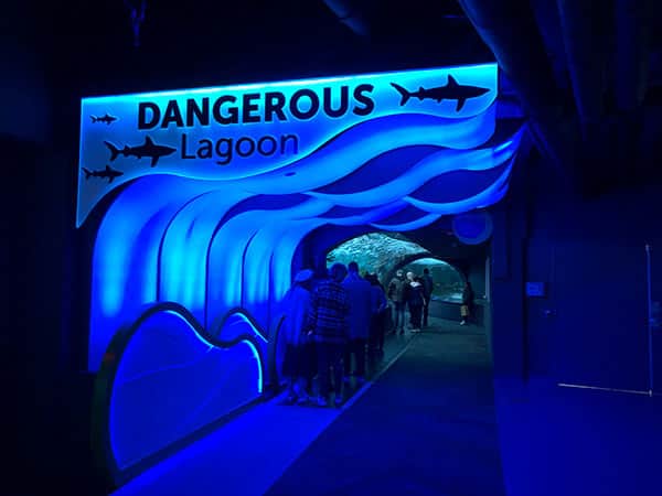 デンジャラスラグーン