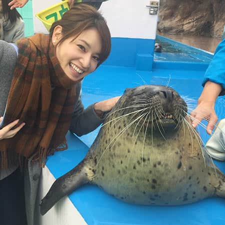 アザラシと佐竹