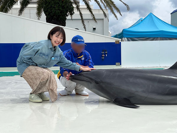 写真3イルカタッチ