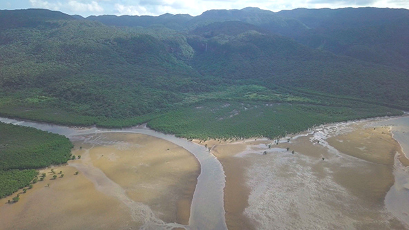 この記事の写真