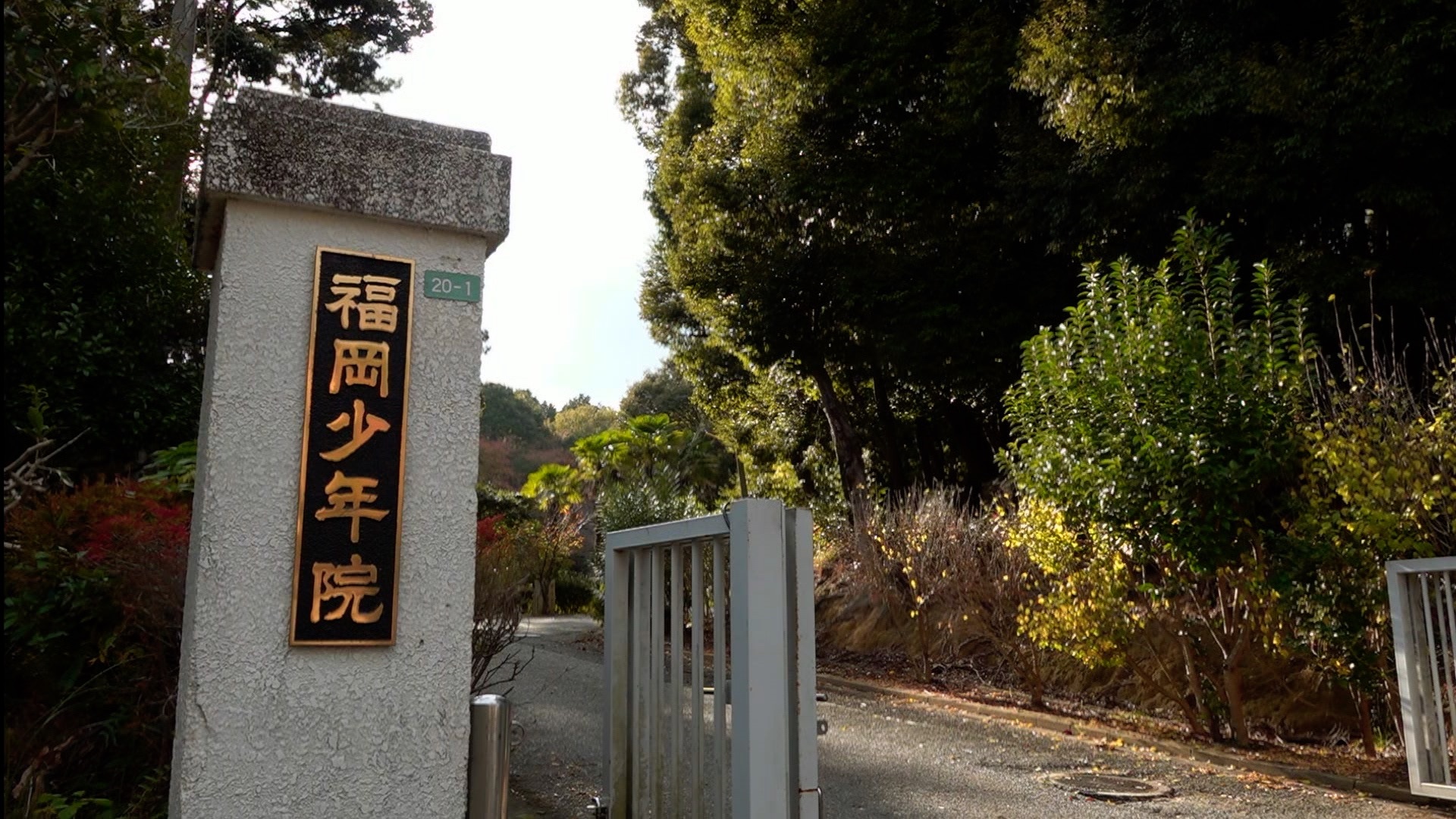 この記事の写真