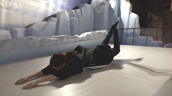 この記事の写真