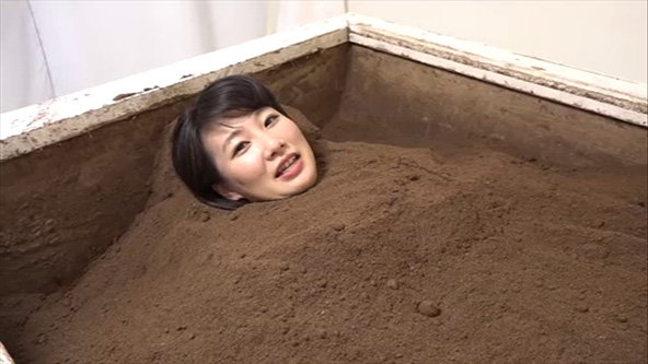 この記事の写真