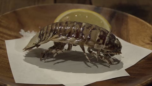 この記事の写真