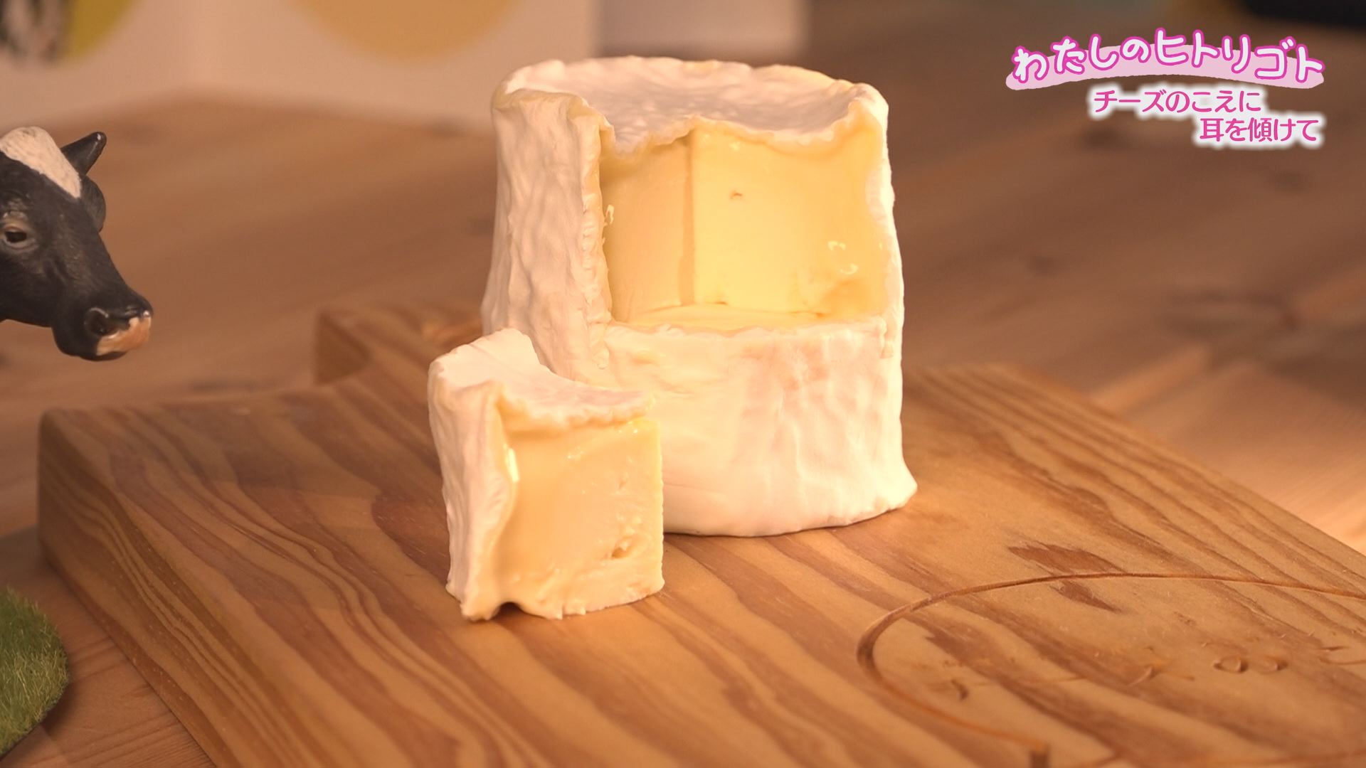 この記事の写真