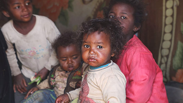 この記事の写真