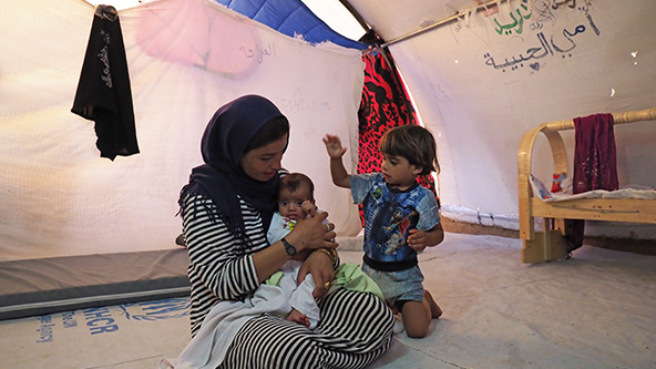 この記事の写真