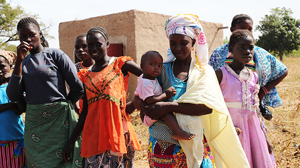 この記事の写真