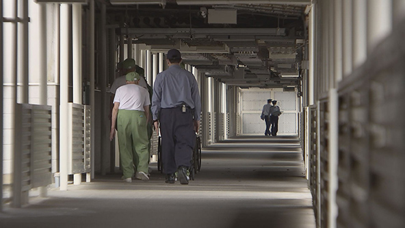 この記事の写真