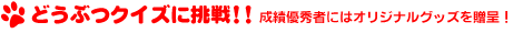 $B$I$&$V$D%/%$%:$KD)@o!*!*@.@SM%=(<T$K$O%*%j%8%J%k%0%C%:$rB#Dh!*(J