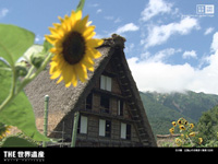 白川郷・五箇山の合掌造り集落