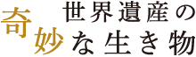 世界遺産の奇妙な生き物