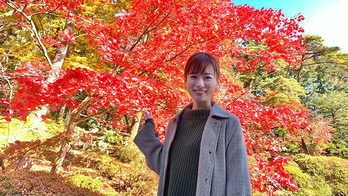 2020年11月22日