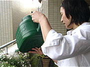 今週の番組カットの画像