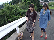 今週の番組カットの画像