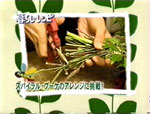 茎を切っている様子