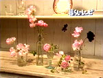 空き瓶を使った花たち