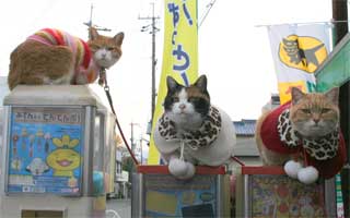 たま駅長