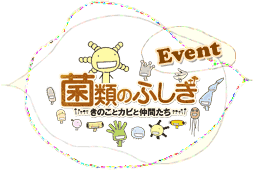 【イメージ】関連イベント