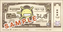 前売券
