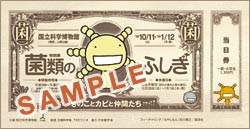 当日券
