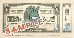 金曜限定ペア特ナイト券