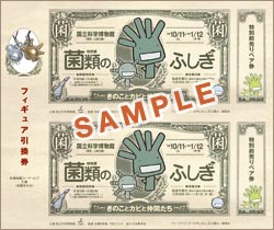 特別前売りペア券