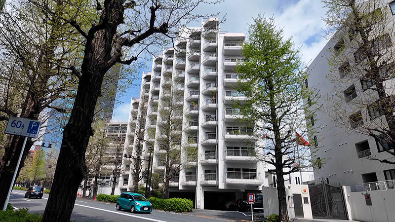 ◆原宿ビューパレー