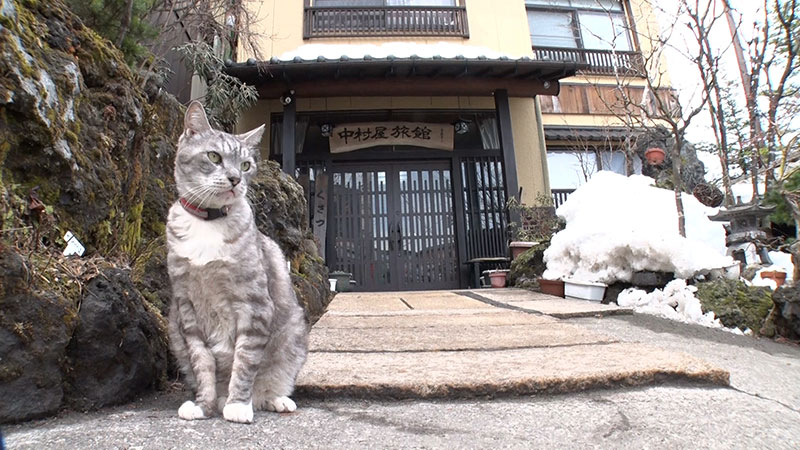 ■中村屋旅館／草津温泉