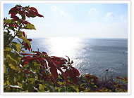 宮崎県03