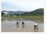 新潟県01