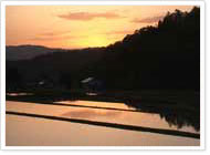 新潟県03