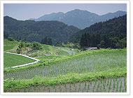 滋賀県01