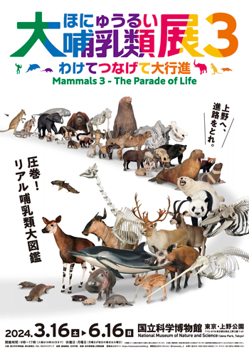 『大哺乳類展3-わけてつなげて大行進』