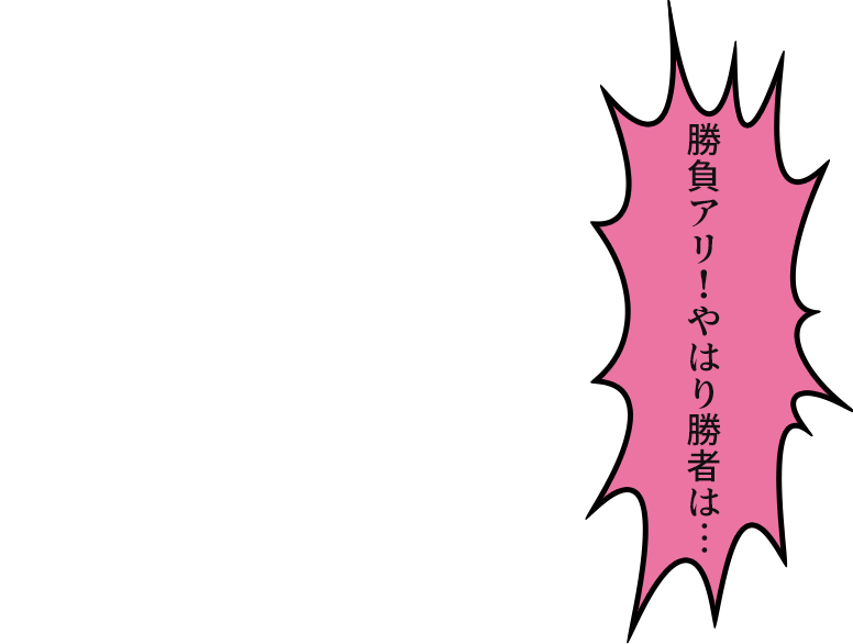 「勝負アリ!やはり勝者は…」