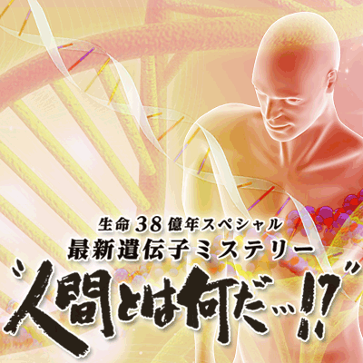 シモンズグランドセール はじめに｜TBSテレビ：生命38億年スペシャル 最新遺伝子 人文